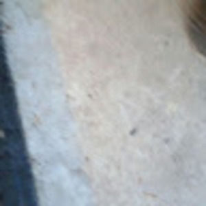 Meet your Posher, Candy